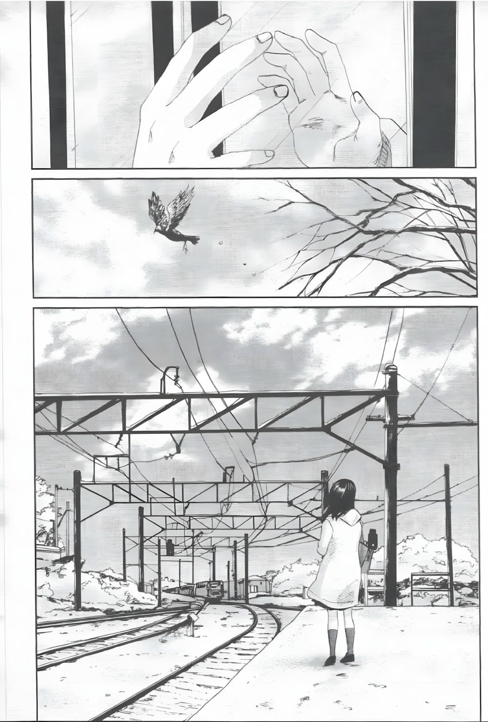 Truyện Tranh 5 Centimet Trên Giây - 5 Centimeters Per Second trang 3