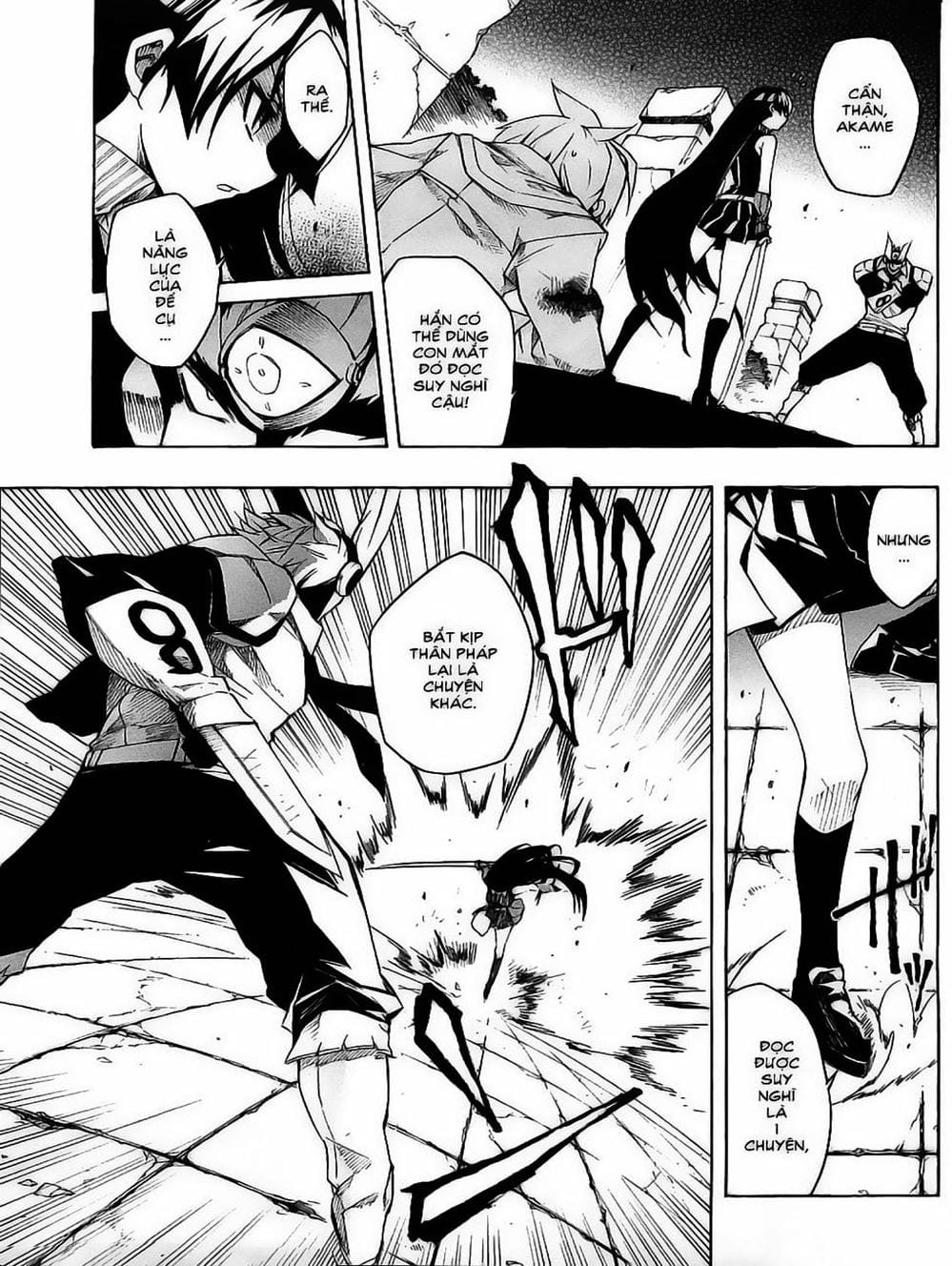 Truyện Tranh Xích Nhãn Sát Thủ - Akame Ga Kill! trang 7