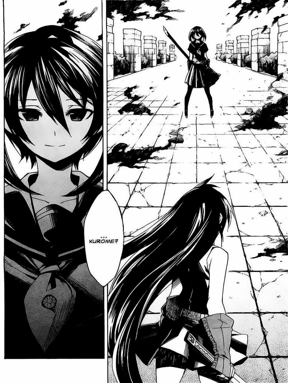 Truyện Tranh Xích Nhãn Sát Thủ - Akame Ga Kill! trang 7