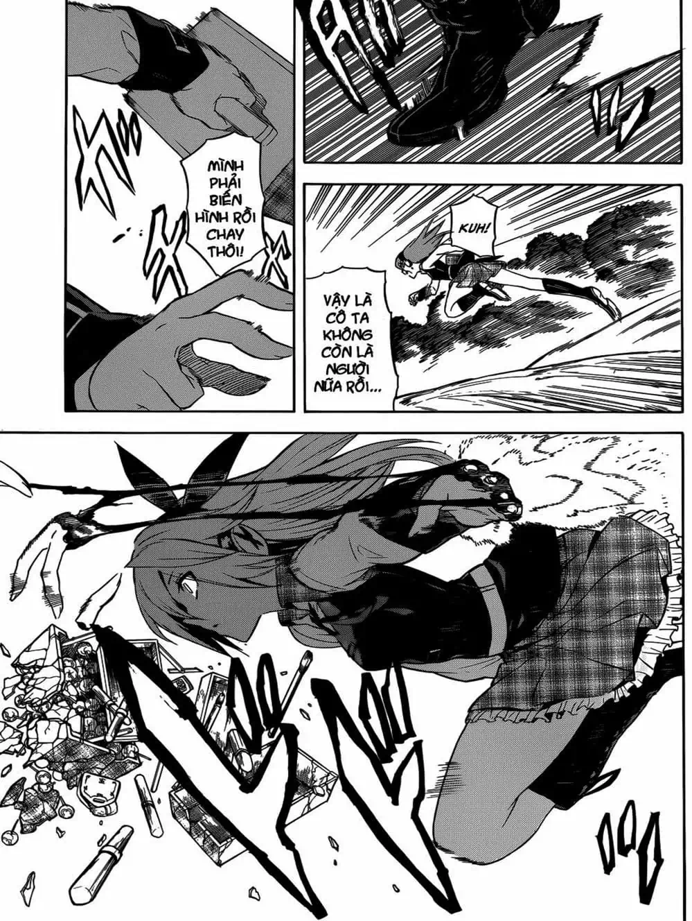 Truyện Tranh Xích Nhãn Sát Thủ - Akame Ga Kill! trang 7