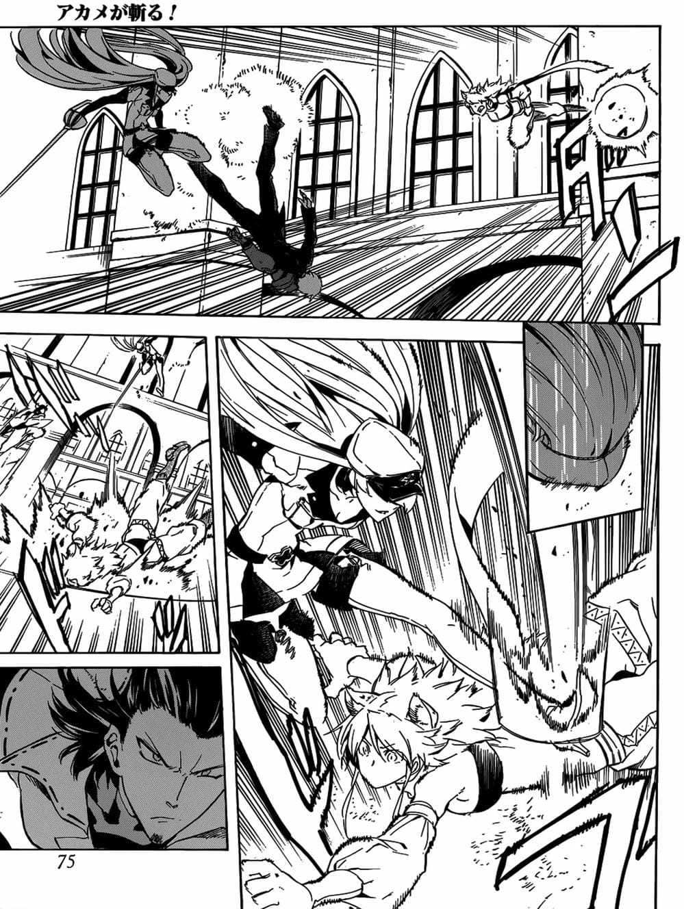 Truyện Tranh Xích Nhãn Sát Thủ - Akame Ga Kill! trang 7