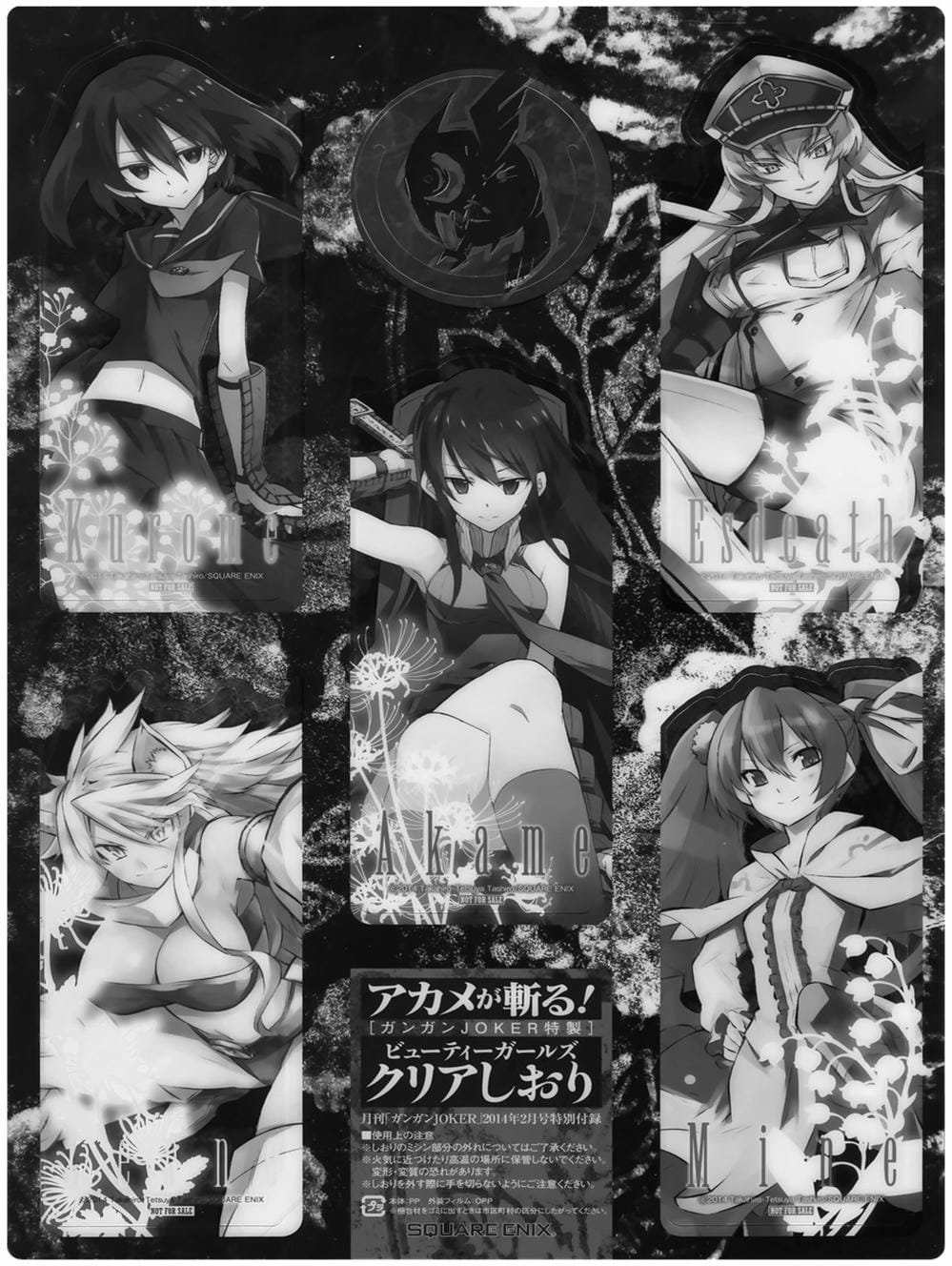 Truyện Tranh Xích Nhãn Sát Thủ - Akame Ga Kill! trang 7