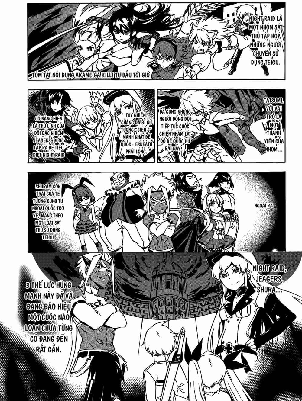 Truyện Tranh Xích Nhãn Sát Thủ - Akame Ga Kill! trang 7