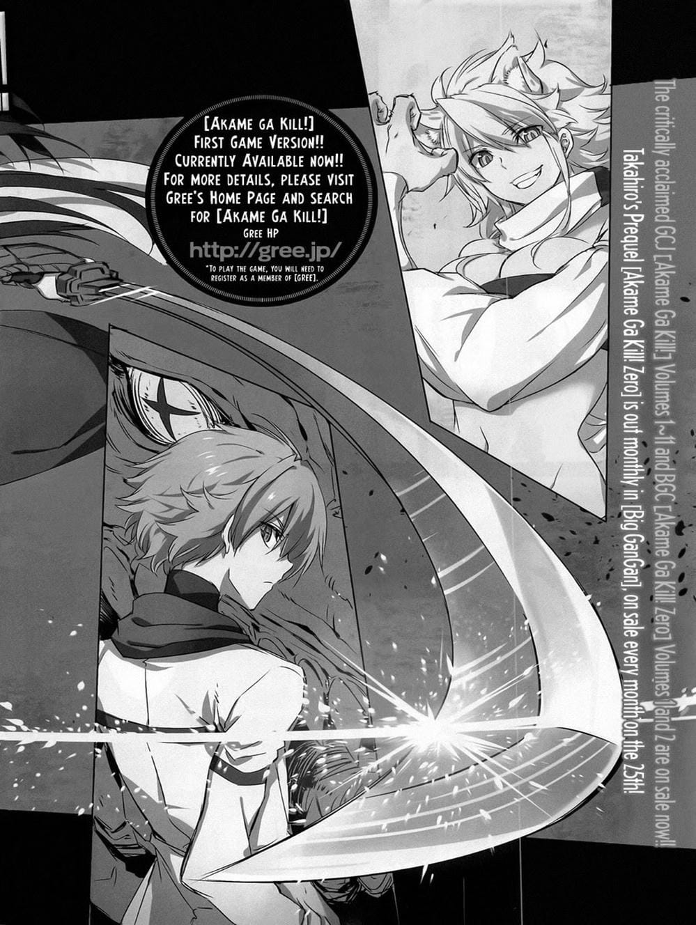 Truyện Tranh Xích Nhãn Sát Thủ - Akame Ga Kill! trang 7