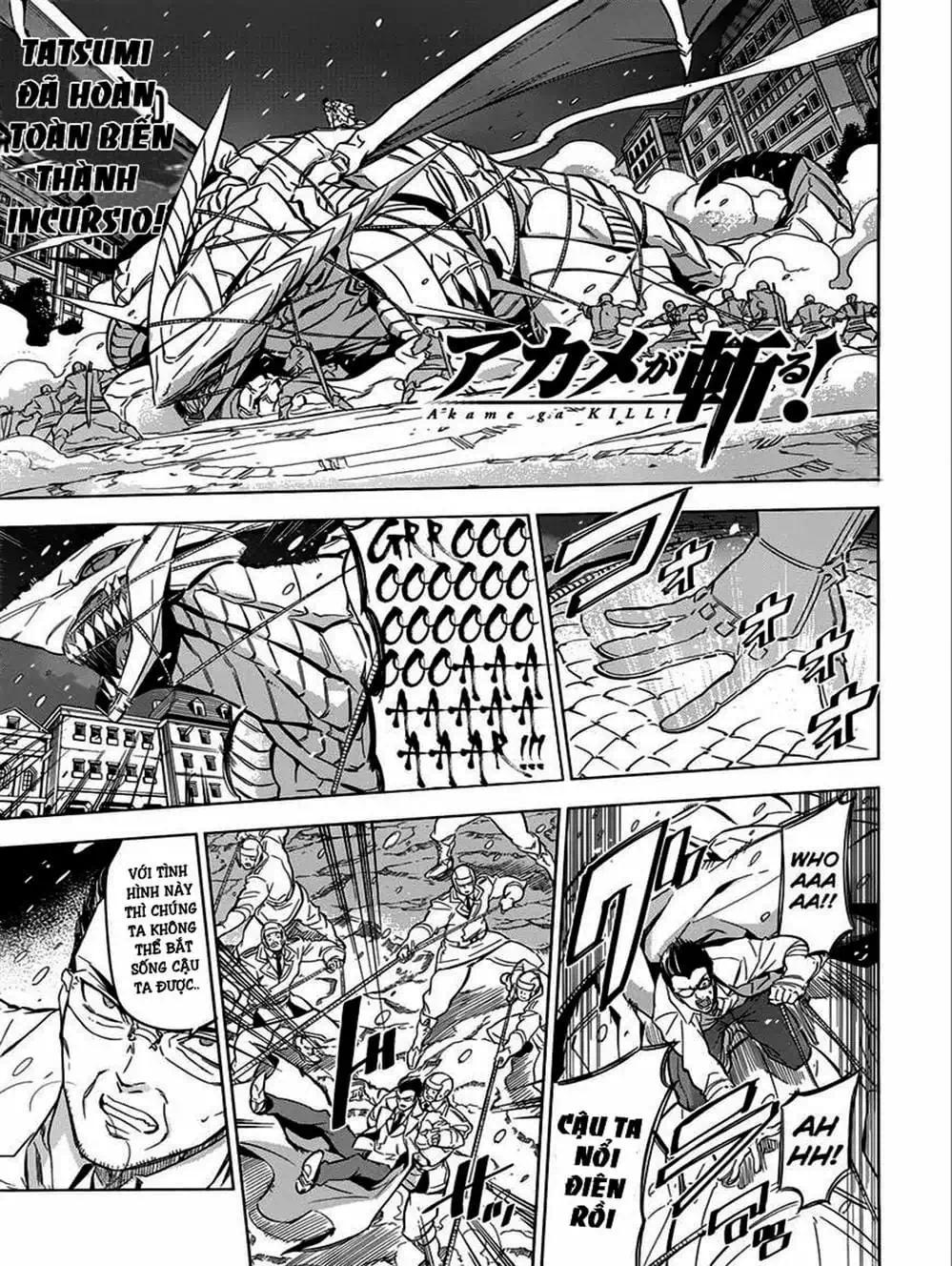 Truyện Tranh Xích Nhãn Sát Thủ - Akame Ga Kill! trang 7