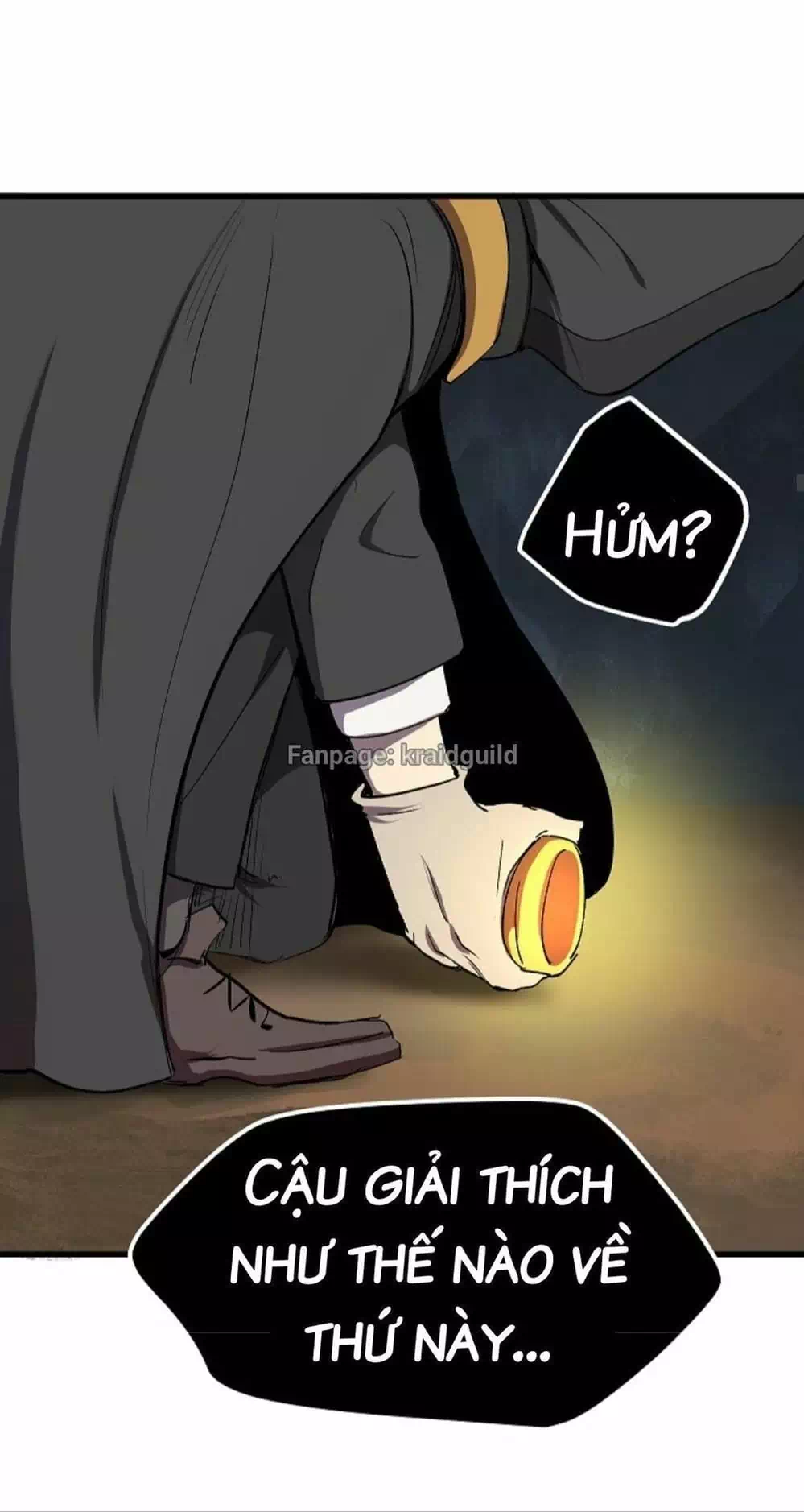 Truyện Tranh Anh Hùng Mạnh Nhất? Ta Không Làm Lâu Rồi! trang 5