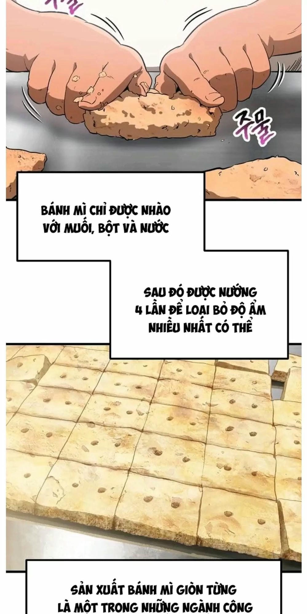 Truyện Tranh Anh Hùng Mạnh Nhất? Ta Không Làm Lâu Rồi! trang 5