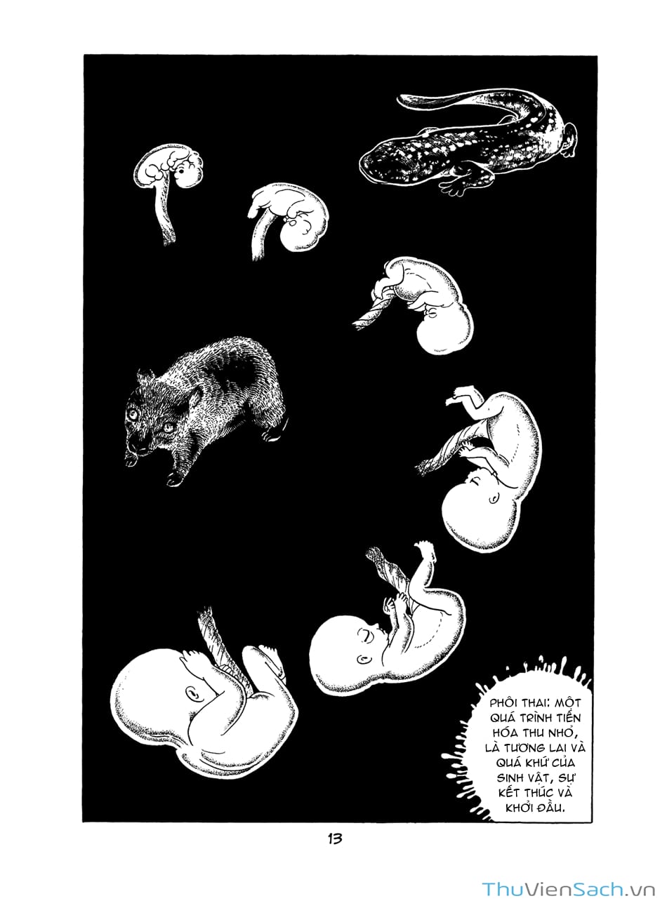 Truyện Tranh Bài Hát Của Apollo - Apollo’s Song trang 2