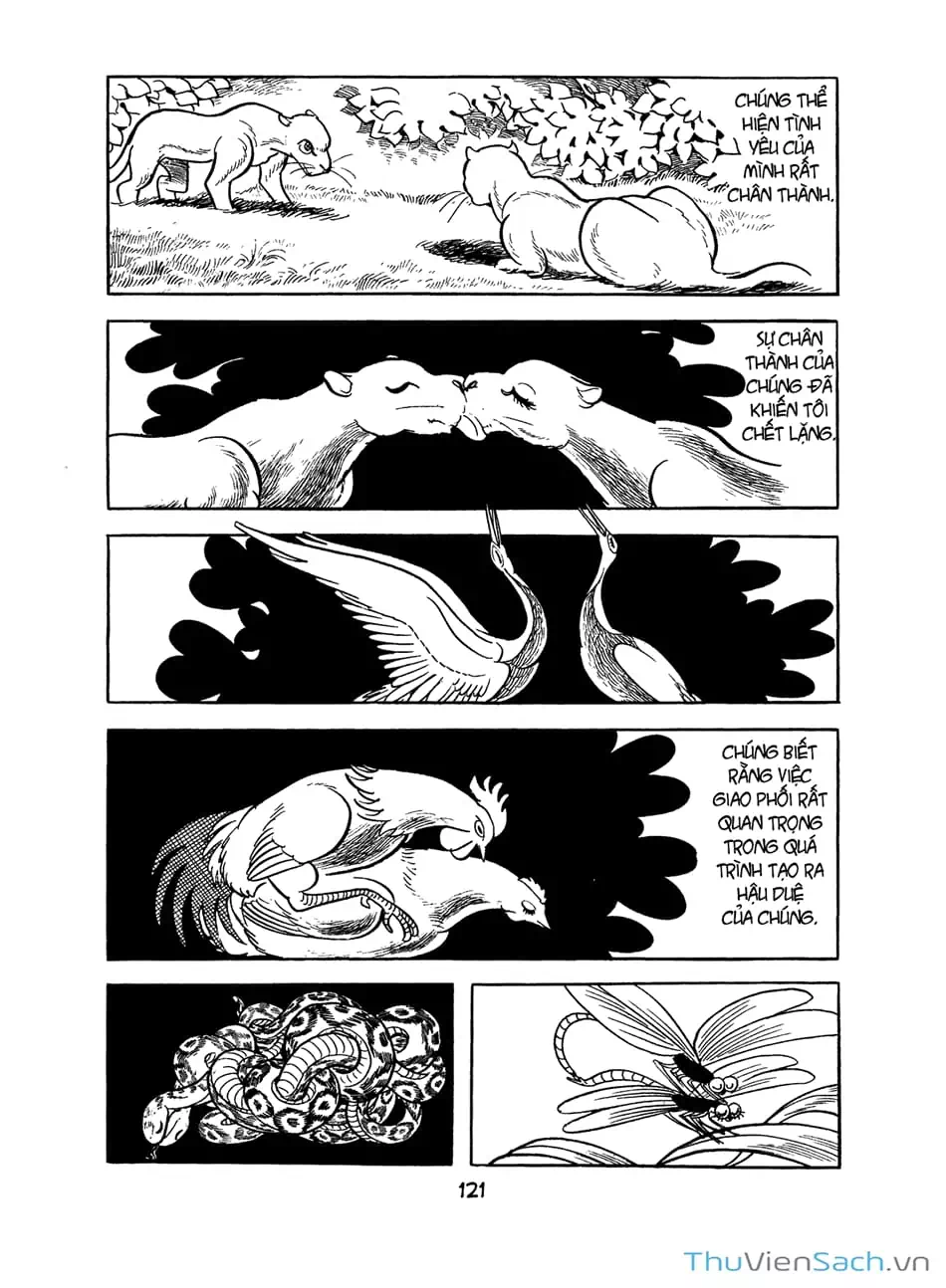 Truyện Tranh Bài Hát Của Apollo - Apollo’s Song trang 2