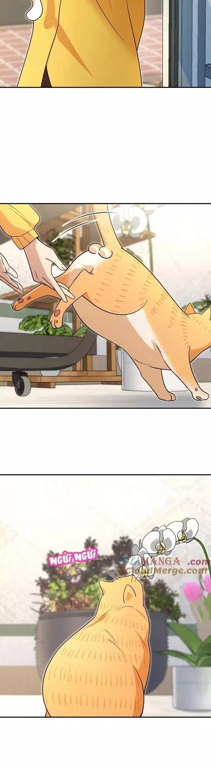 Truyện Tranh Bà Xã Nhà Tôi Đến Từ Ngàn Năm Trước trang 7