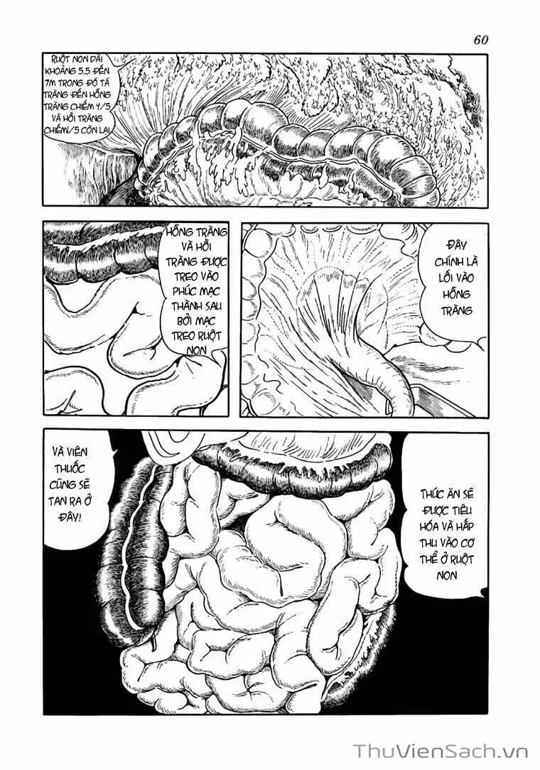 Truyện Tranh Bác Sĩ Quái Dị - Black Jack trang 3