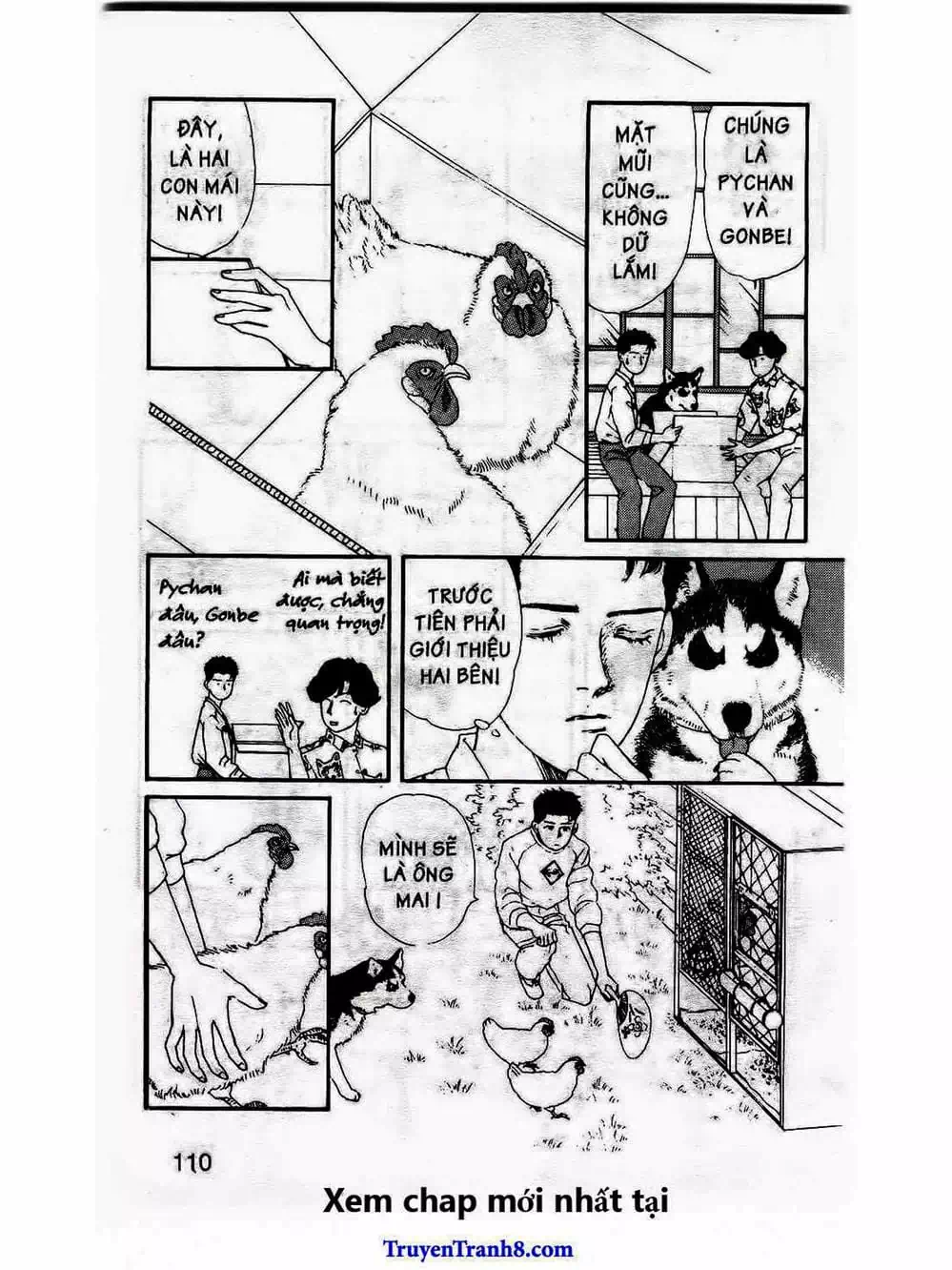 Truyện Tranh Bác Sĩ Thú Y - Doubutsu No Oisha-San trang 4