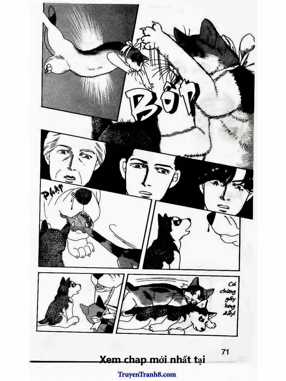 Truyện Tranh Bác Sĩ Thú Y - Doubutsu No Oisha-San trang 4