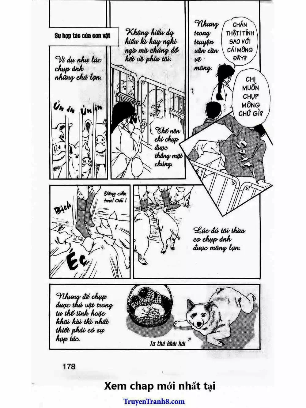 Truyện Tranh Bác Sĩ Thú Y - Doubutsu No Oisha-San trang 4