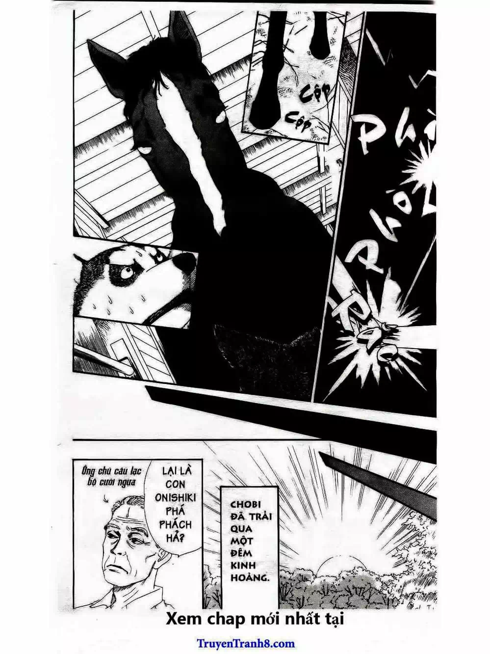 Truyện Tranh Bác Sĩ Thú Y - Doubutsu No Oisha-San trang 4