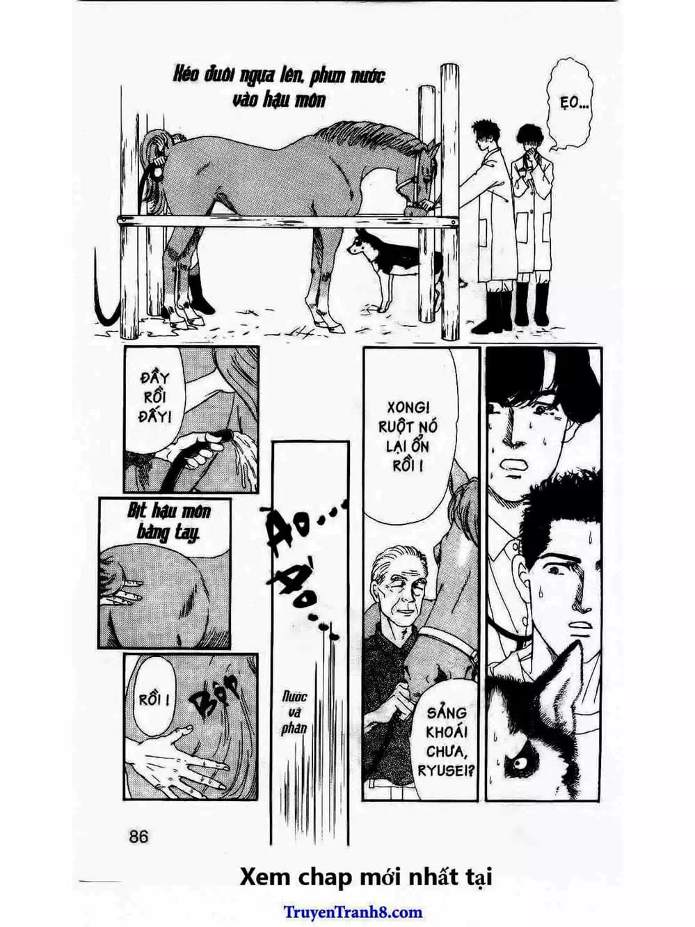 Truyện Tranh Bác Sĩ Thú Y - Doubutsu No Oisha-San trang 4