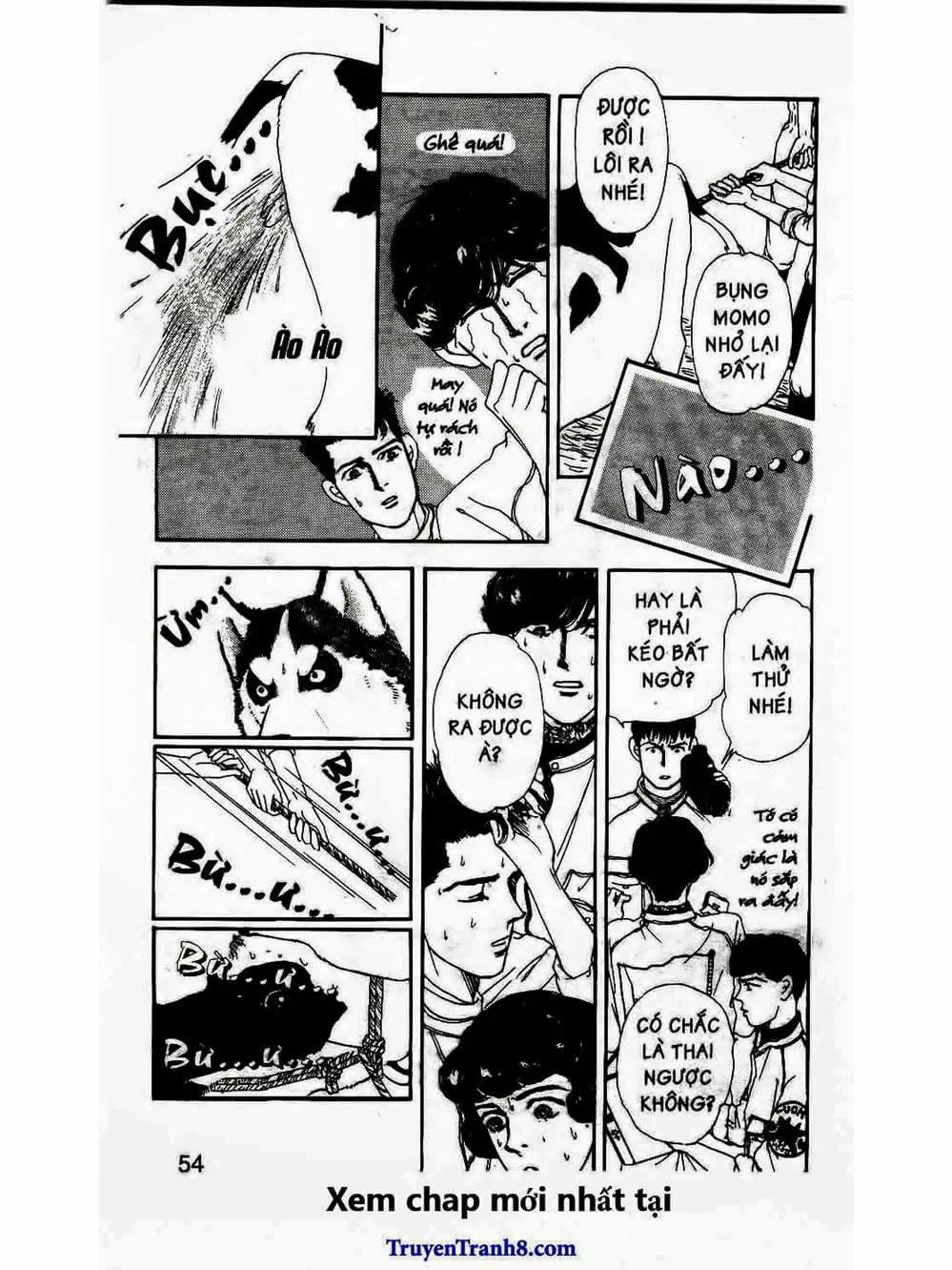 Truyện Tranh Bác Sĩ Thú Y - Doubutsu No Oisha-San trang 4