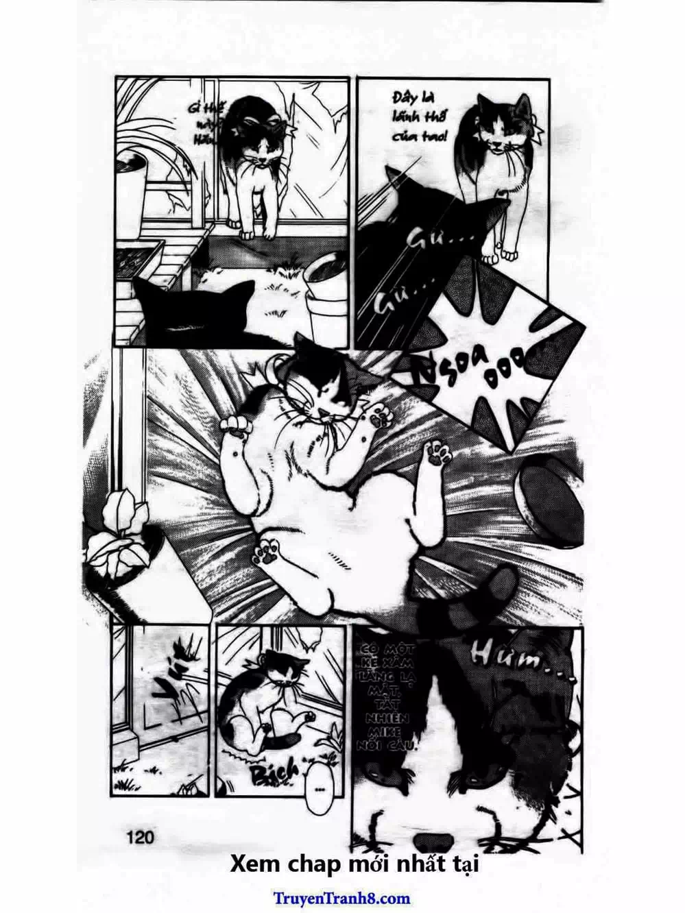 Truyện Tranh Bác Sĩ Thú Y - Doubutsu No Oisha-San trang 4