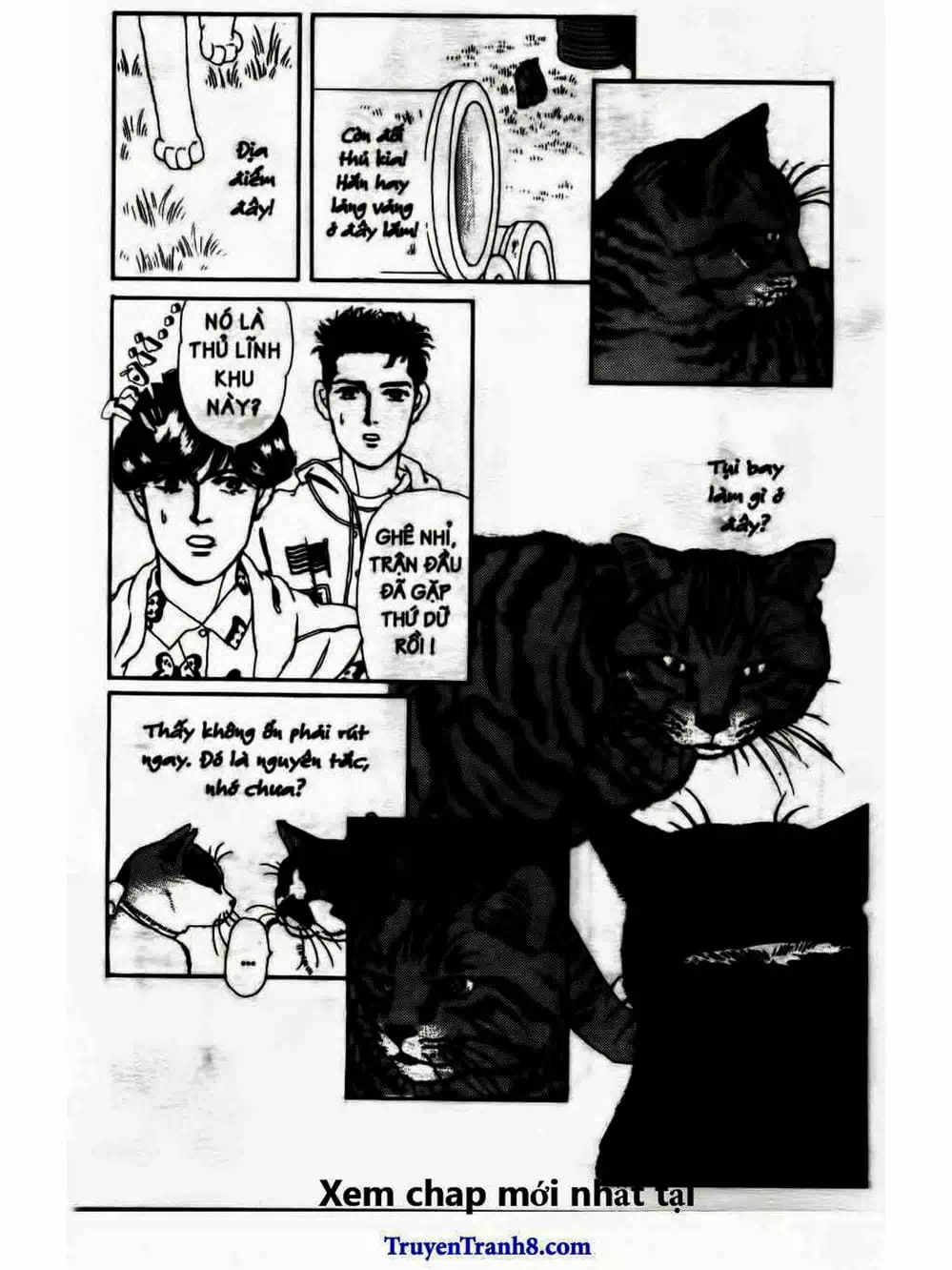 Truyện Tranh Bác Sĩ Thú Y - Doubutsu No Oisha-San trang 4