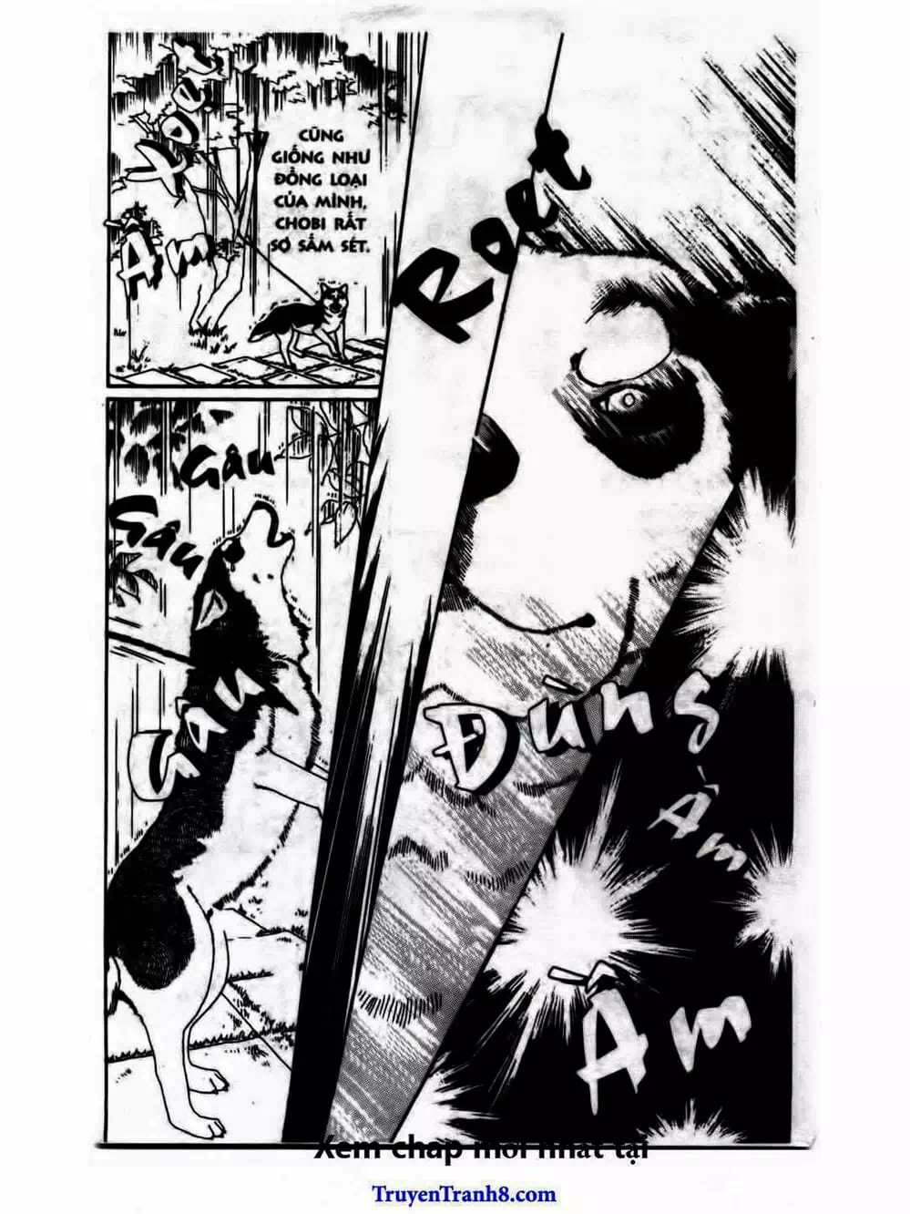 Truyện Tranh Bác Sĩ Thú Y - Doubutsu No Oisha-San trang 4