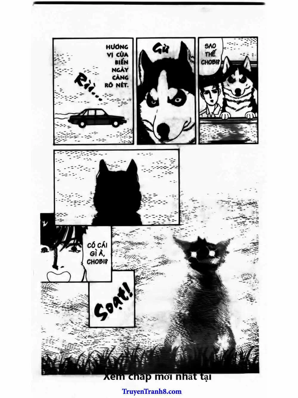 Truyện Tranh Bác Sĩ Thú Y - Doubutsu No Oisha-San trang 4