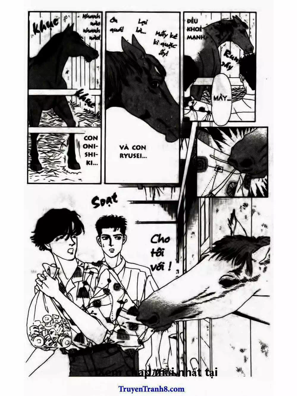 Truyện Tranh Bác Sĩ Thú Y - Doubutsu No Oisha-San trang 4