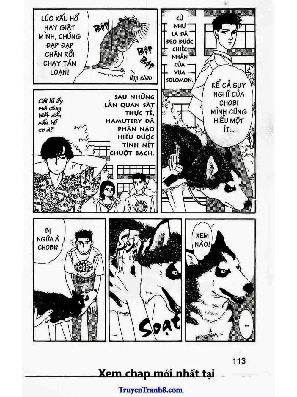 Truyện Tranh Bác Sĩ Thú Y - Doubutsu No Oisha-San trang 4