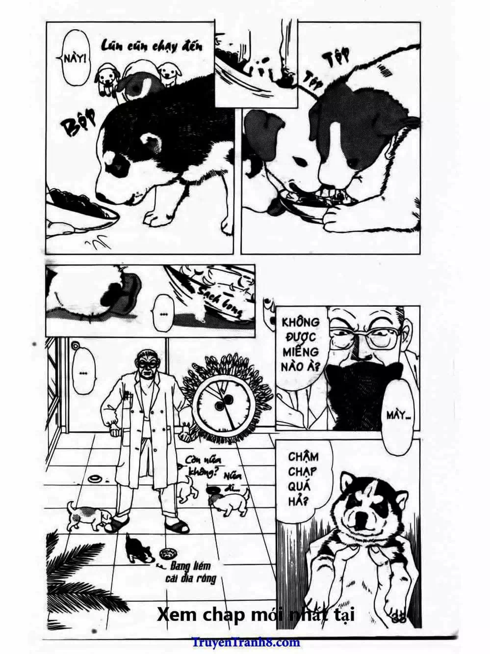 Truyện Tranh Bác Sĩ Thú Y - Doubutsu No Oisha-San trang 4