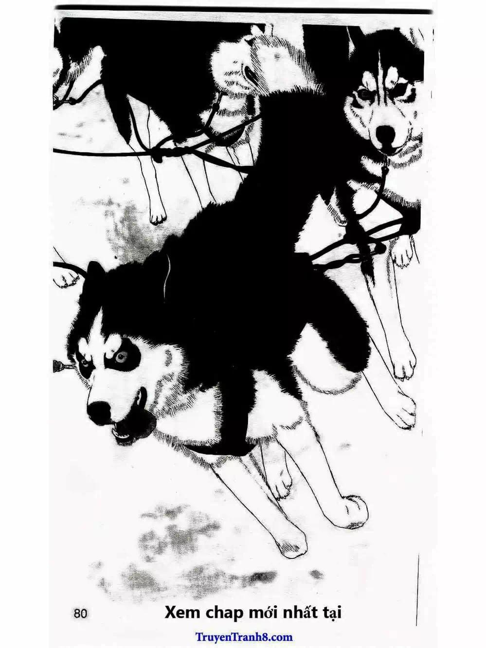 Truyện Tranh Bác Sĩ Thú Y - Doubutsu No Oisha-San trang 4