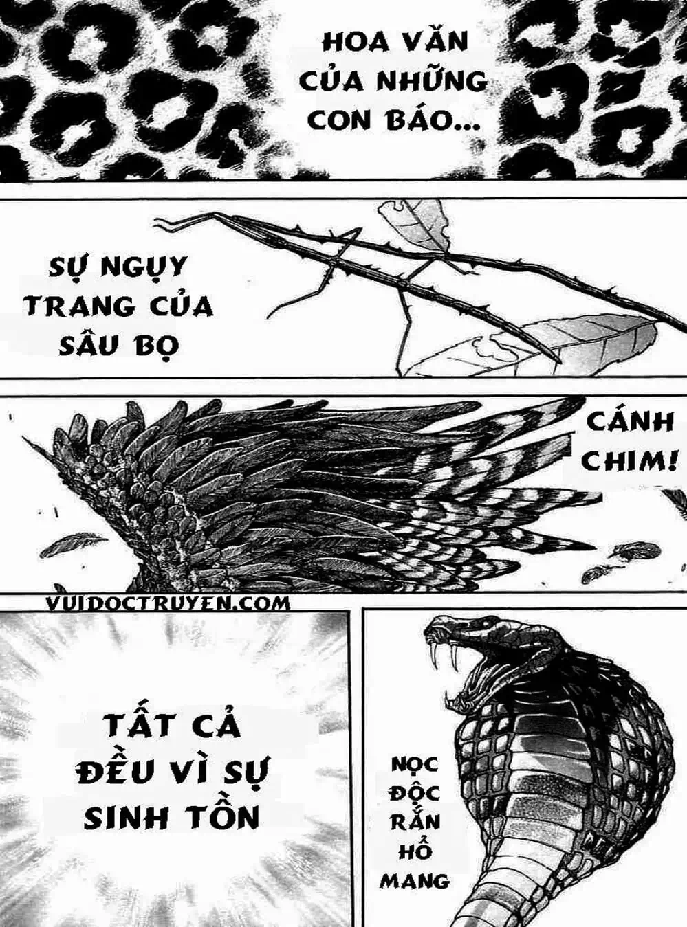 Truyện Tranh Baki - Con Trai Của Quỷ trang 5