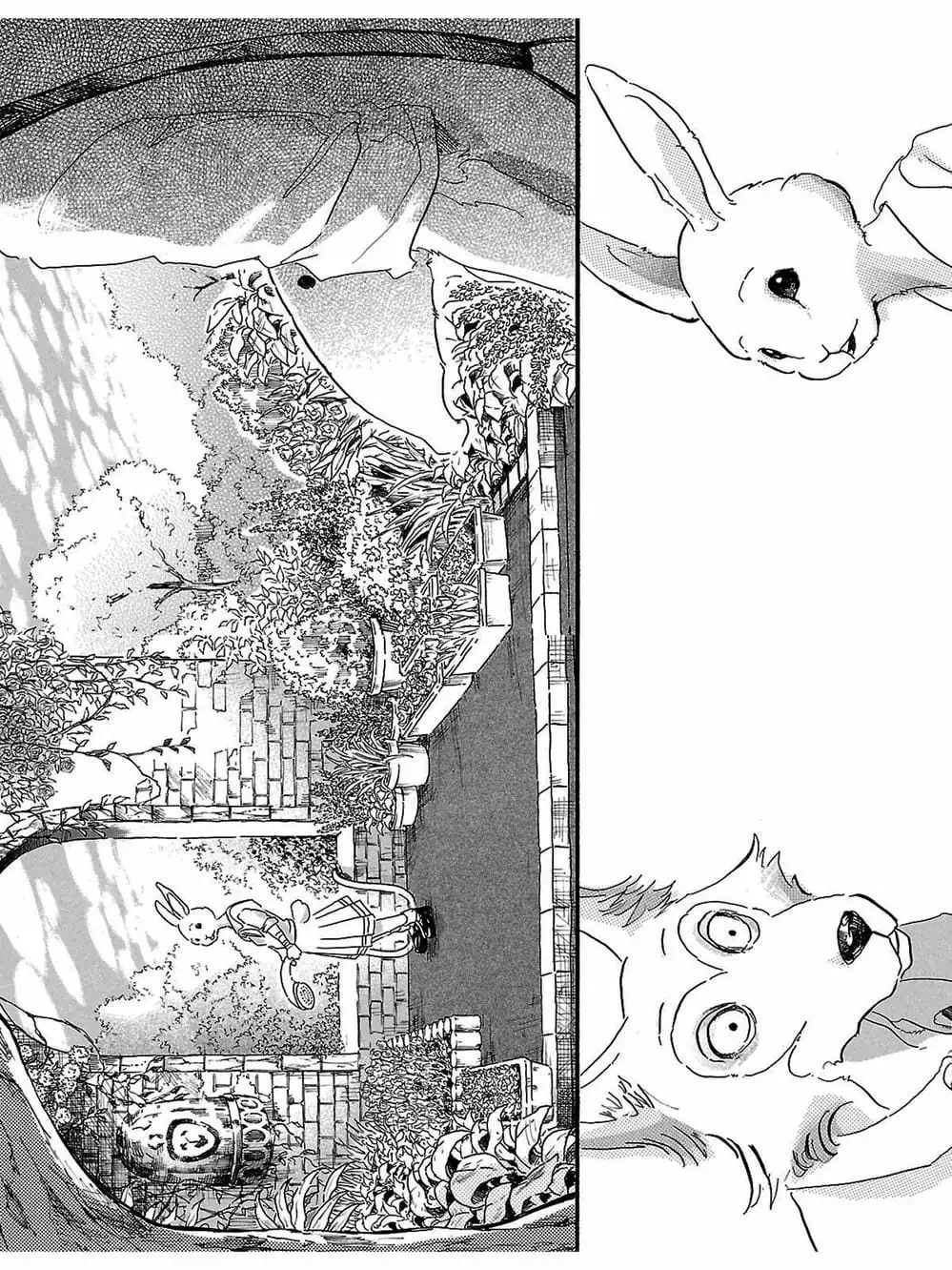 Truyện Tranh Bởi Vì Chúng Ta Đều Là Những Ngôi Sao - Beastars trang 10