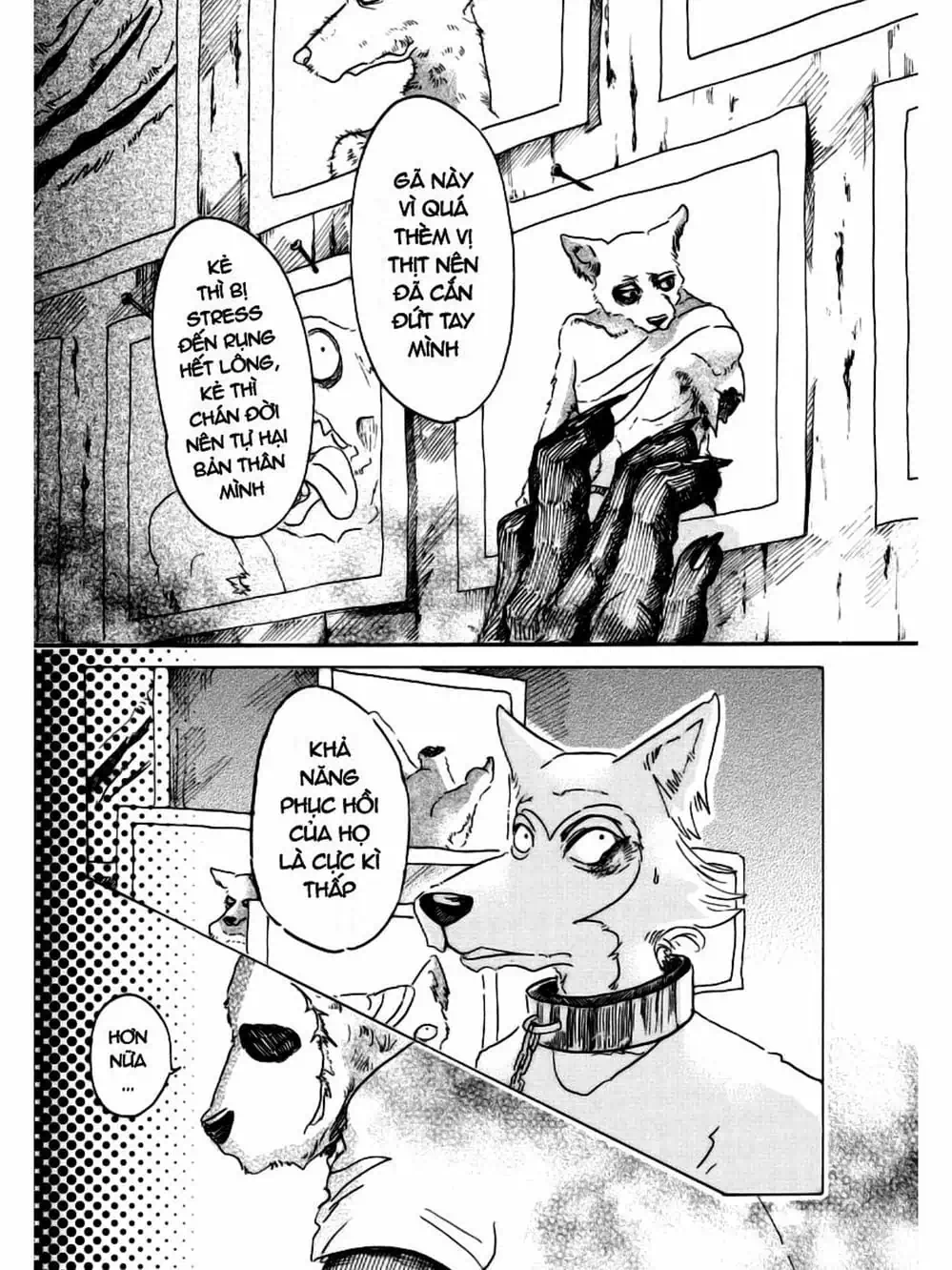 Truyện Tranh Bởi Vì Chúng Ta Đều Là Những Ngôi Sao - Beastars trang 10