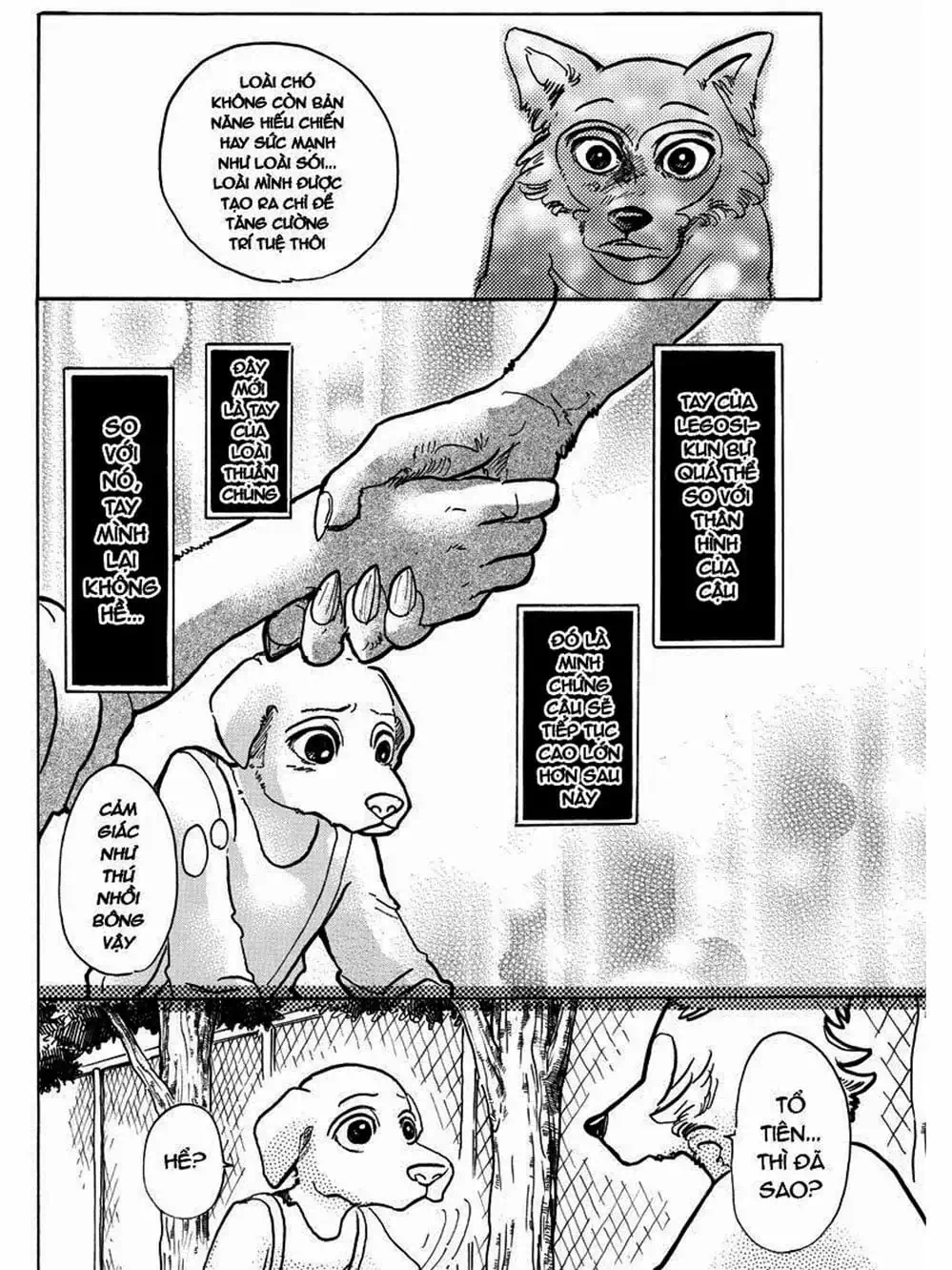 Truyện Tranh Bởi Vì Chúng Ta Đều Là Những Ngôi Sao - Beastars trang 10