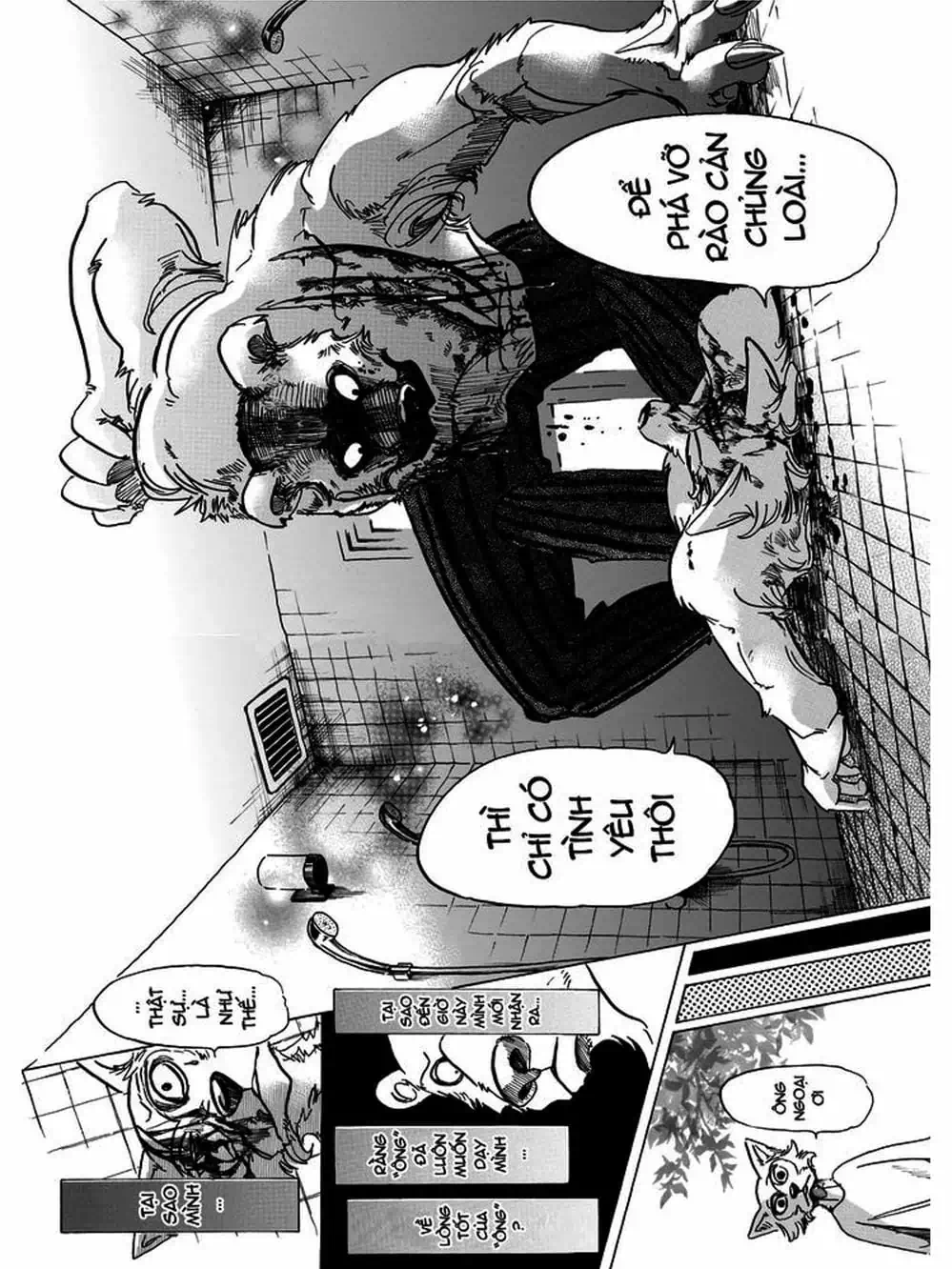 Truyện Tranh Bởi Vì Chúng Ta Đều Là Những Ngôi Sao - Beastars trang 10