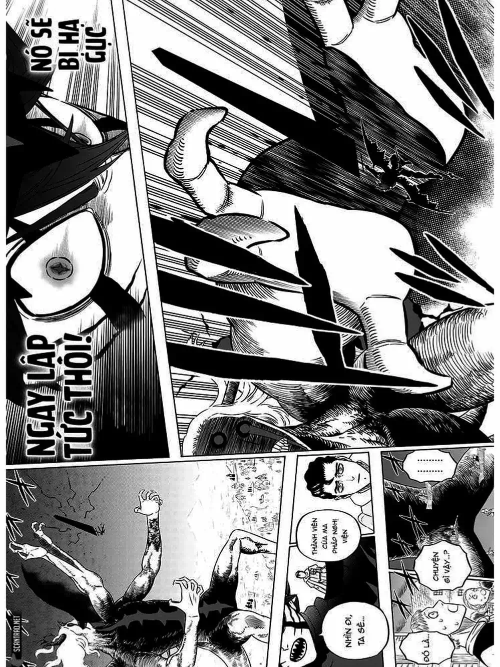 Truyện Tranh Pháp Sư Không Phép Thuật - Black Clover trang 5