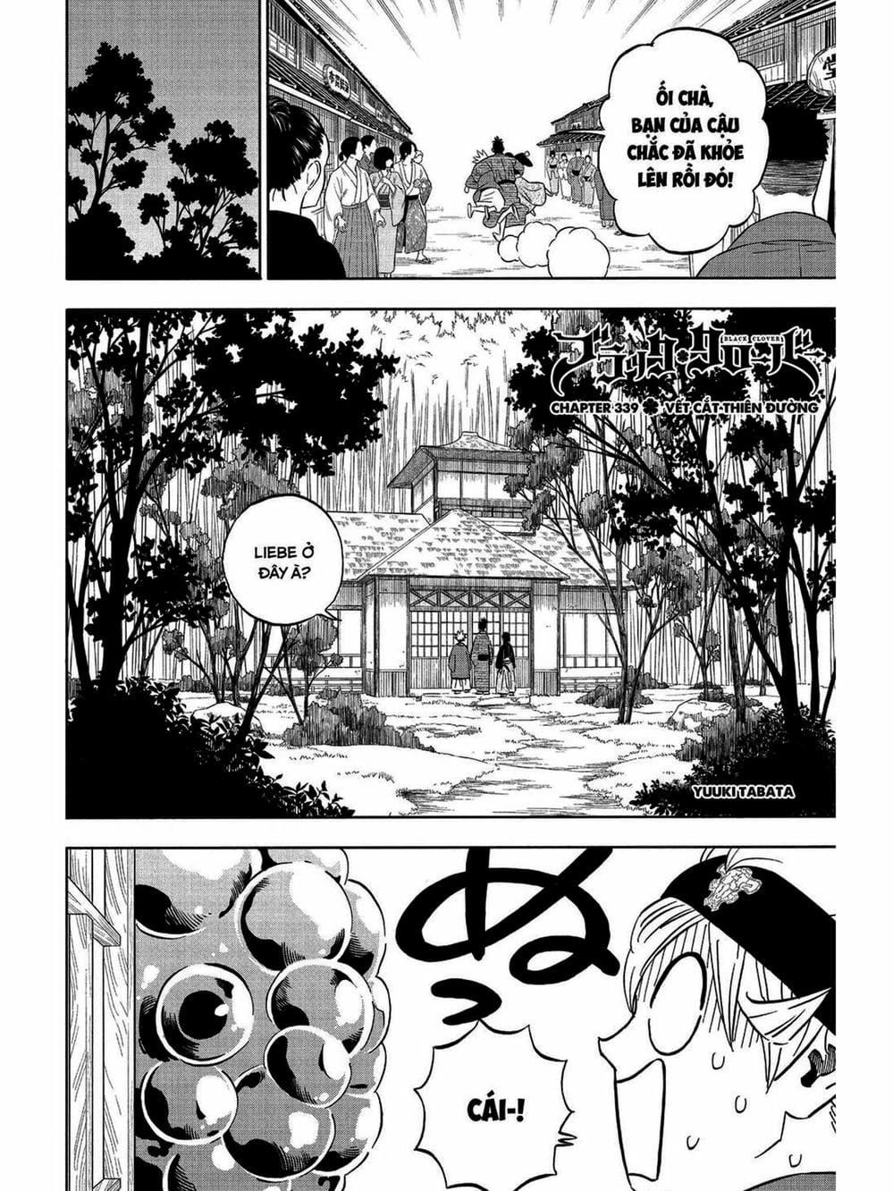 Truyện Tranh Pháp Sư Không Phép Thuật - Black Clover trang 5