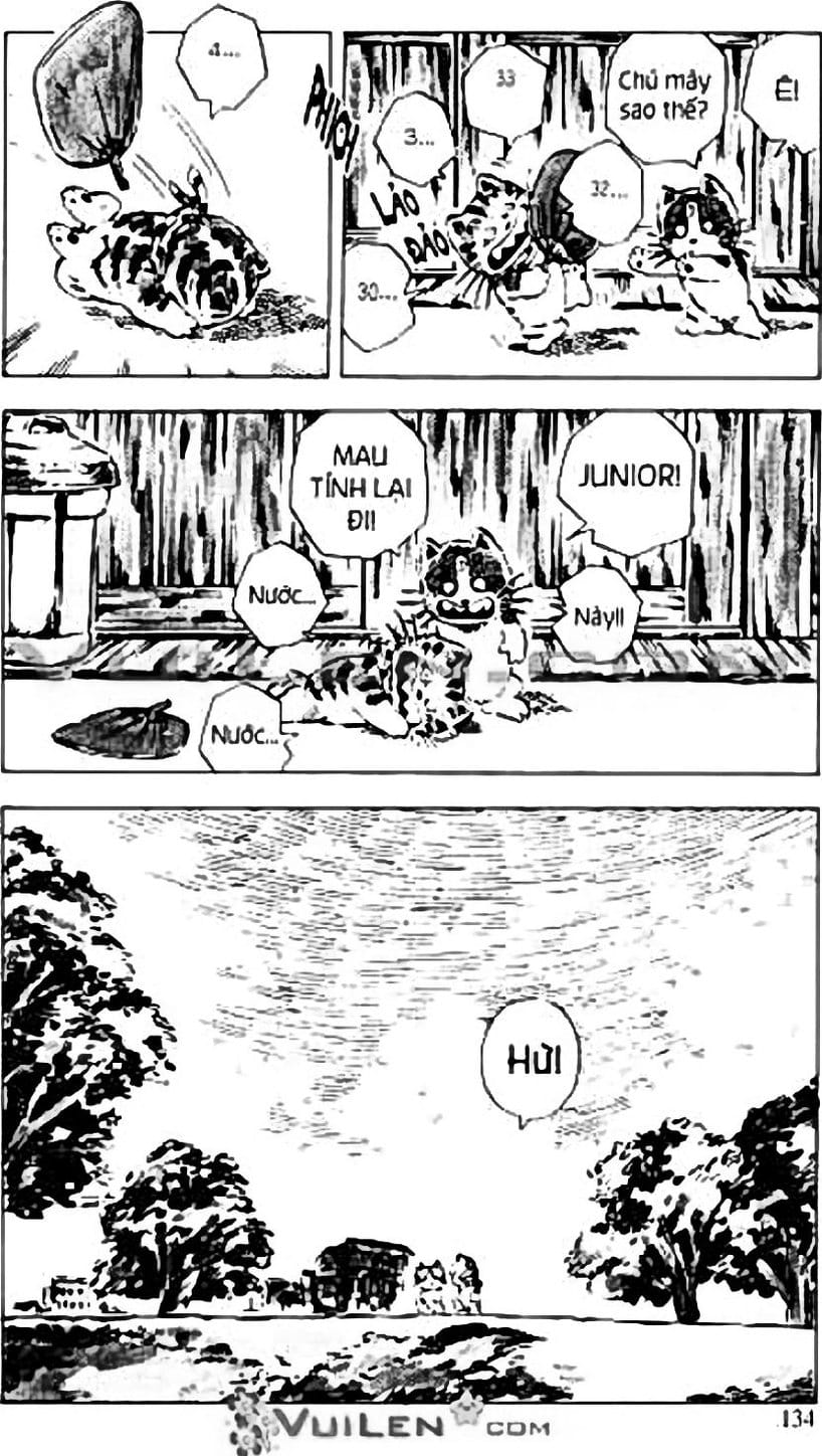 Truyện Tranh Chie - Cô Bé Hạt Tiêu trang 2