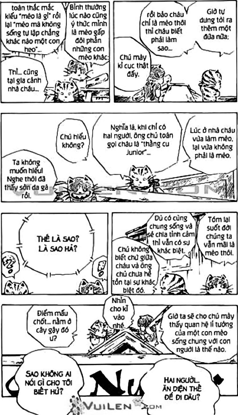 Truyện Tranh Chie - Cô Bé Hạt Tiêu trang 2