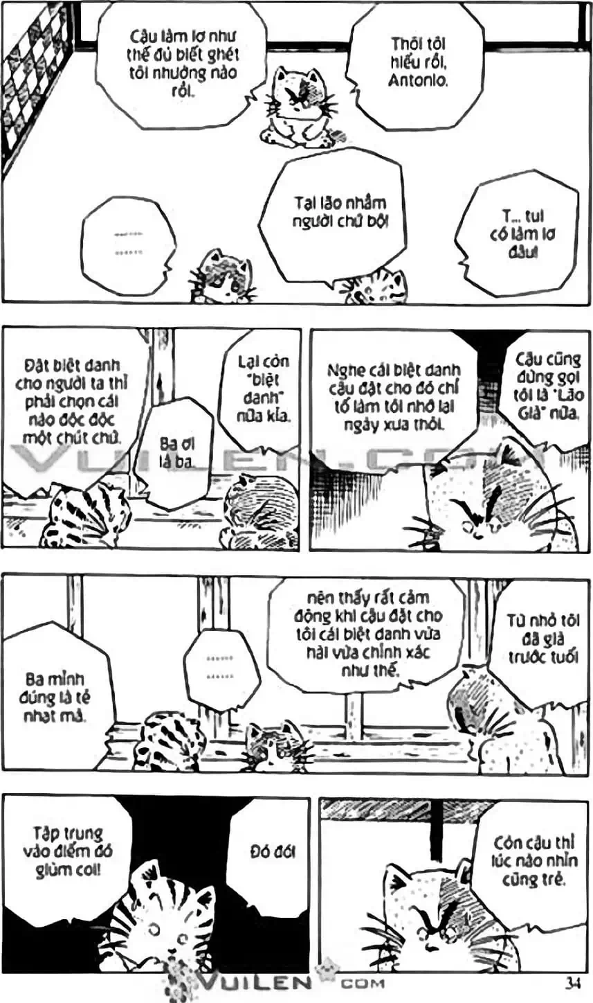 Truyện Tranh Chie - Cô Bé Hạt Tiêu trang 2