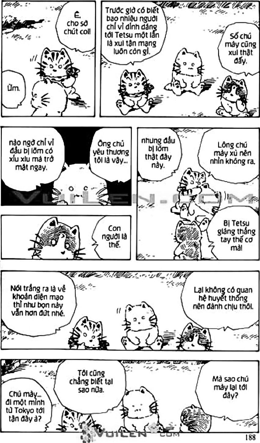 Truyện Tranh Chie - Cô Bé Hạt Tiêu trang 2