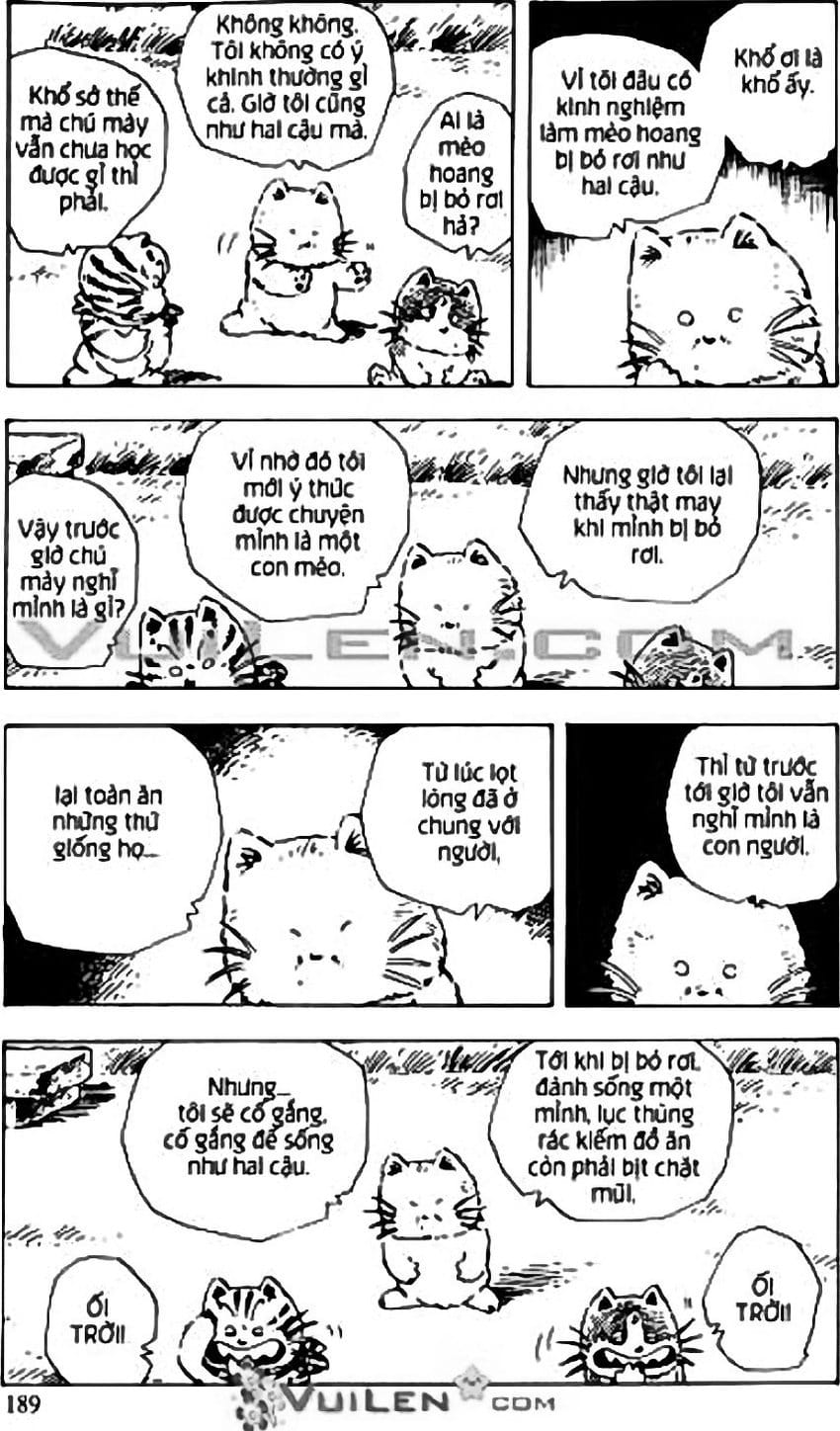 Truyện Tranh Chie - Cô Bé Hạt Tiêu trang 2