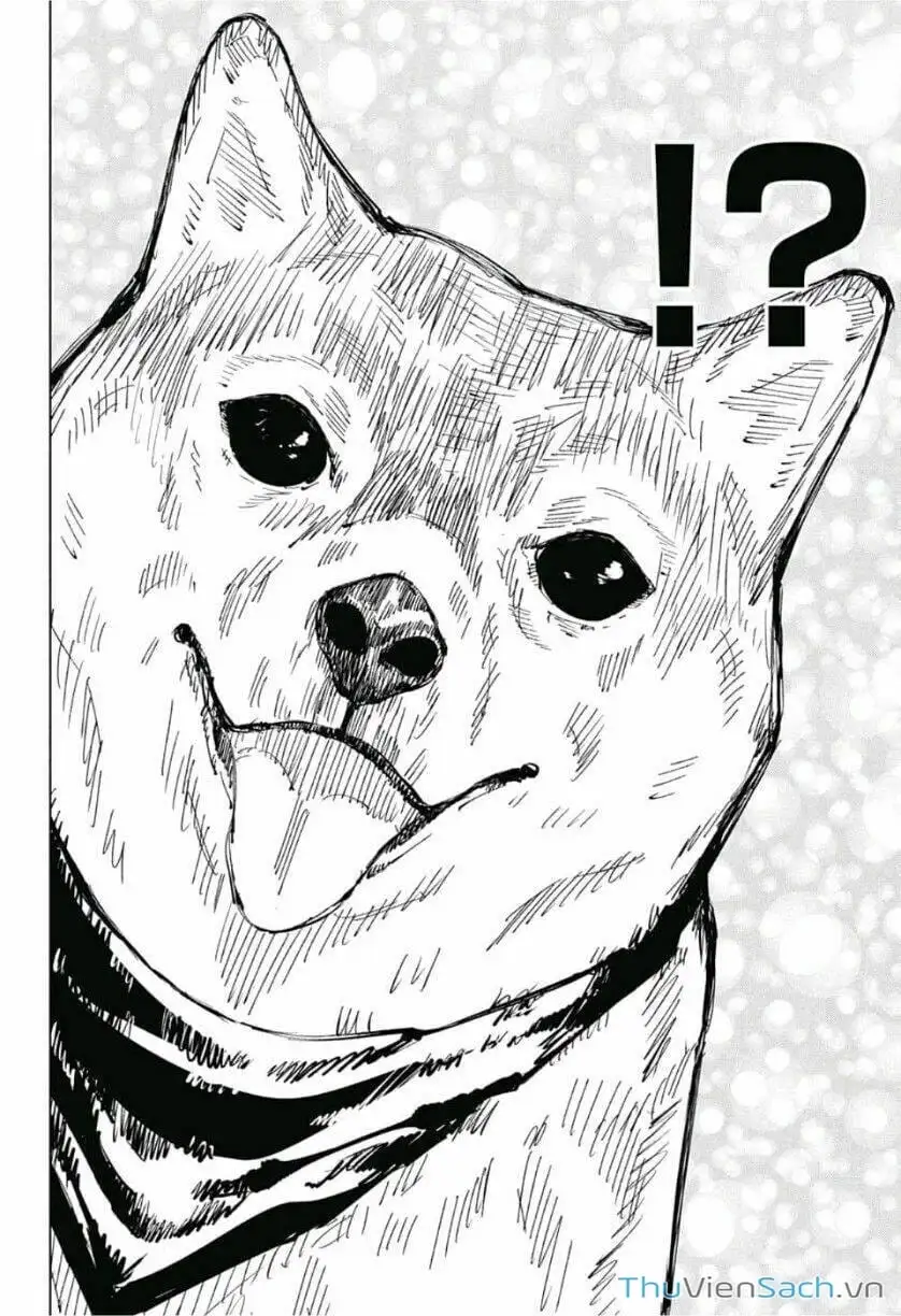 Truyện Tranh Chú Thuật Hồi Chiến - Jujutsu Kaisen trang 5