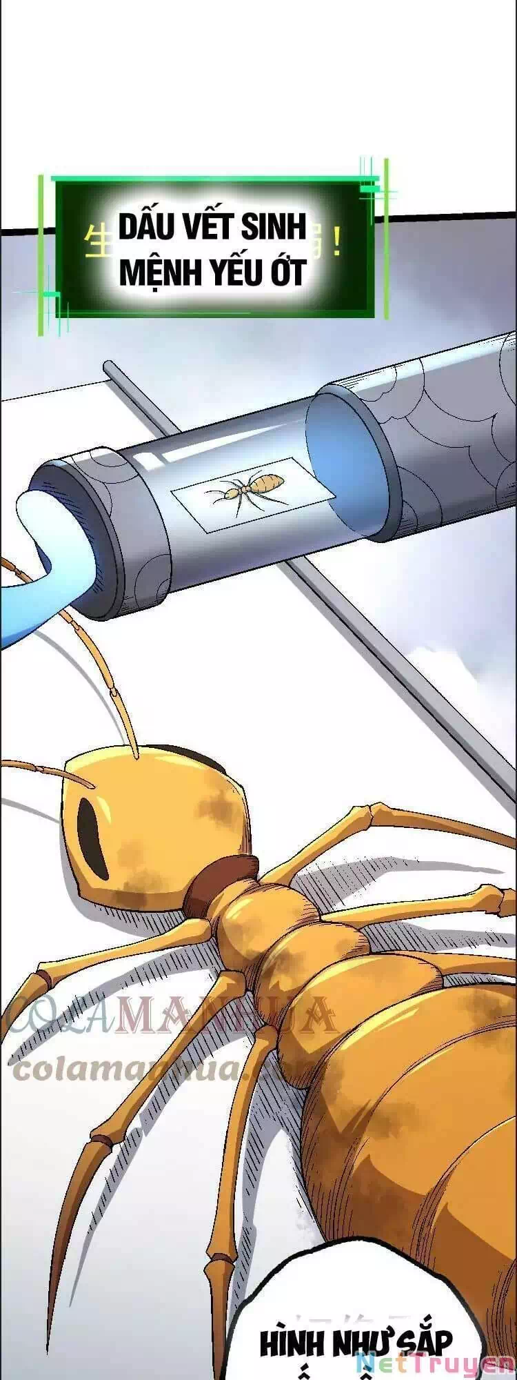 Truyện Tranh Chuyển Sinh Thành Liễu Đột Biến trang 9