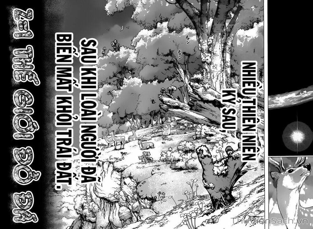 Truyện Tranh Dr. Stone - Hồi Sinh Thế Giới trang 3
