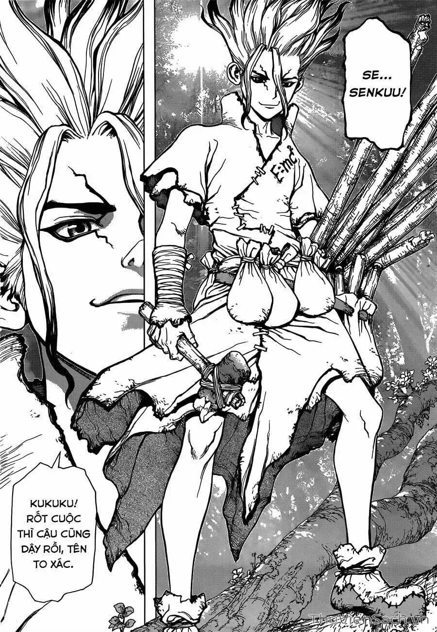 Truyện Tranh Dr. Stone - Hồi Sinh Thế Giới trang 3