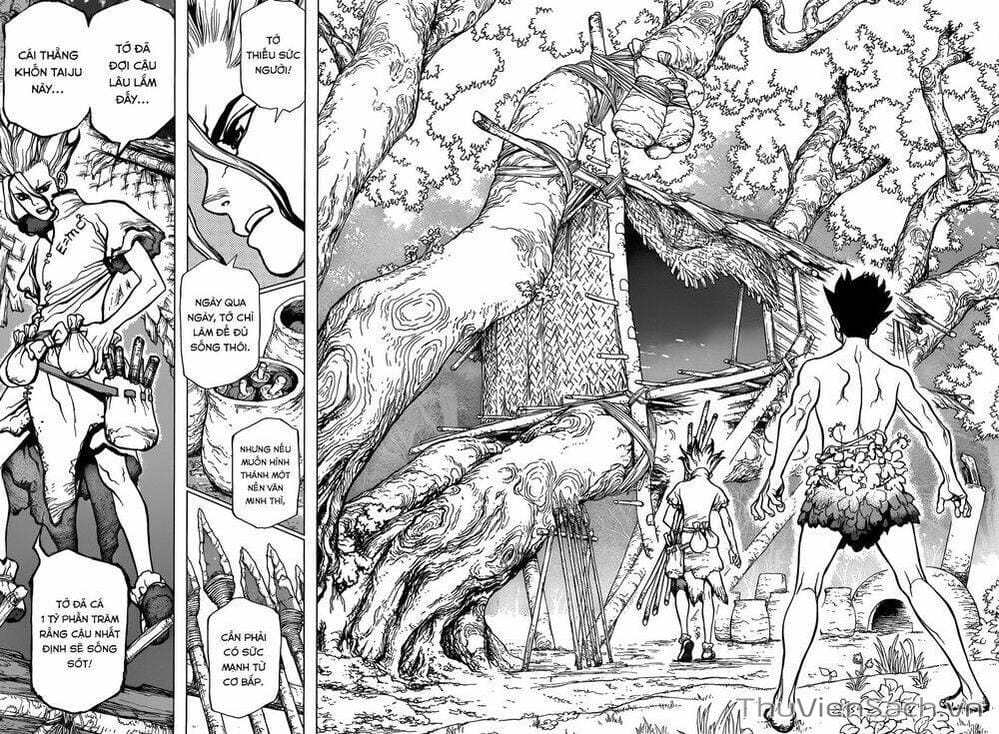 Truyện Tranh Dr. Stone - Hồi Sinh Thế Giới trang 3