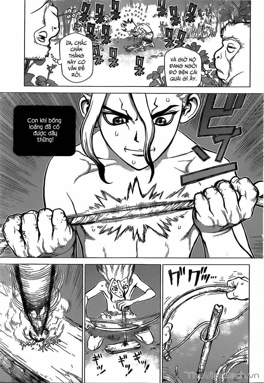 Truyện Tranh Dr. Stone - Hồi Sinh Thế Giới trang 3