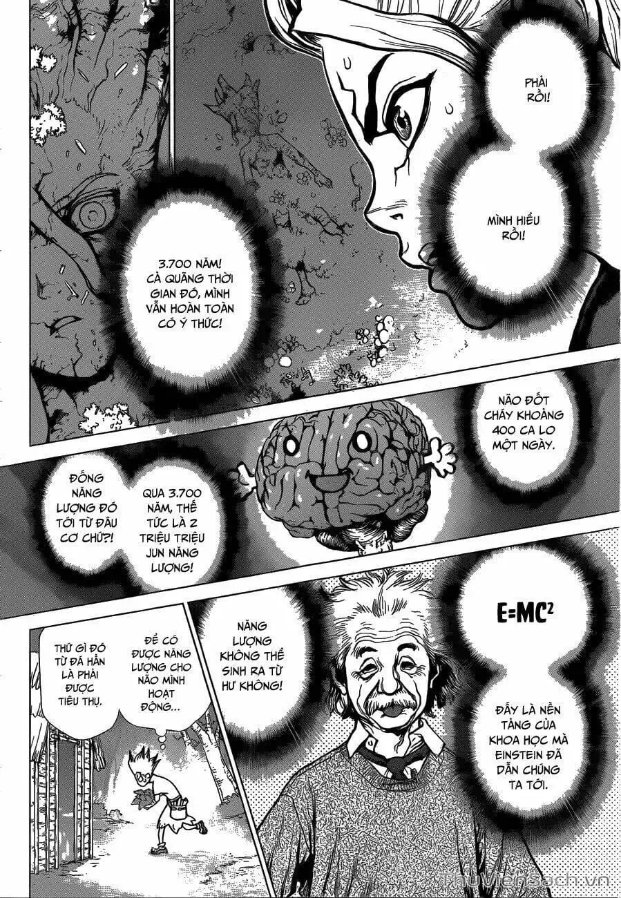 Truyện Tranh Dr. Stone - Hồi Sinh Thế Giới trang 3