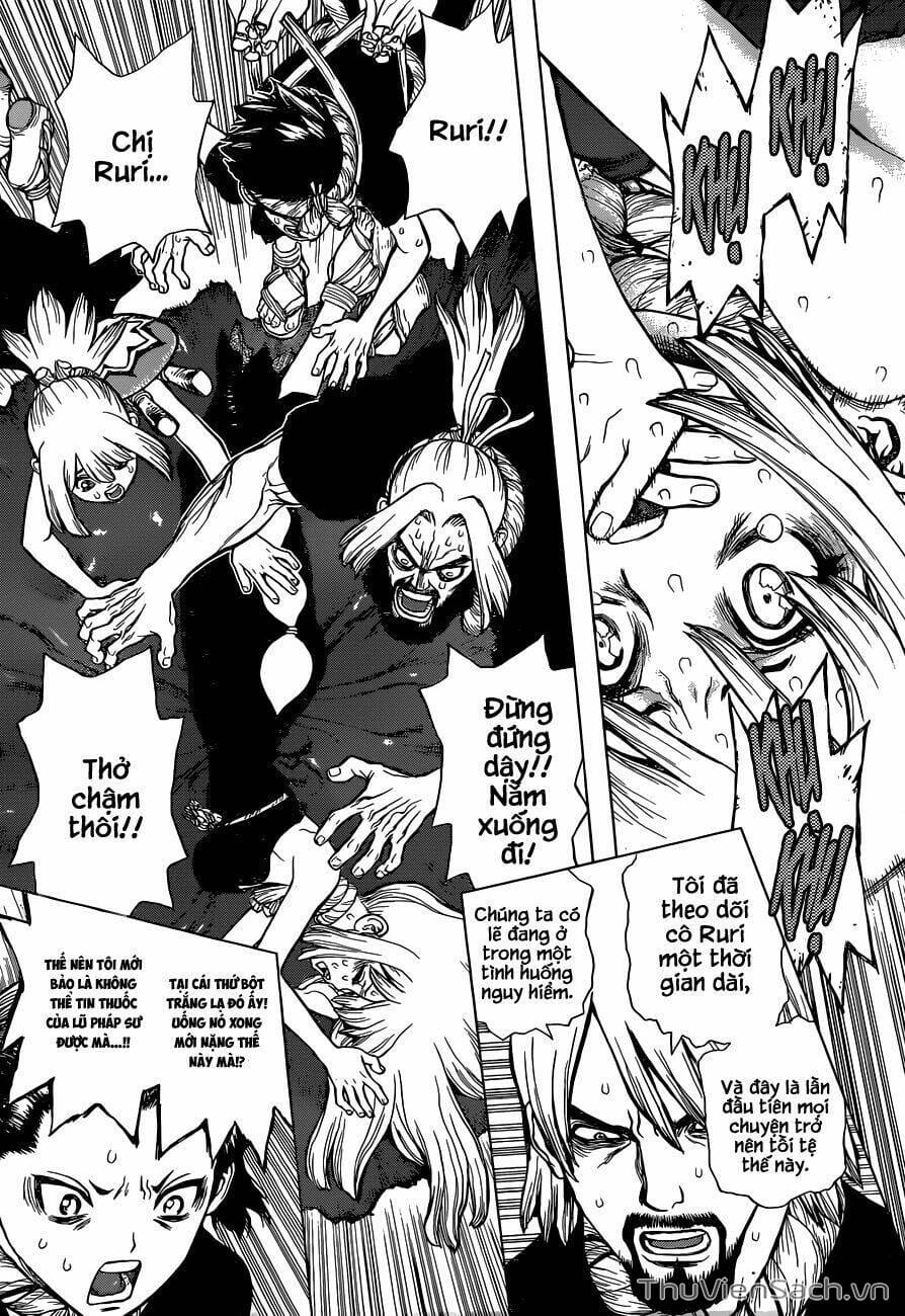 Truyện Tranh Dr. Stone - Hồi Sinh Thế Giới trang 3