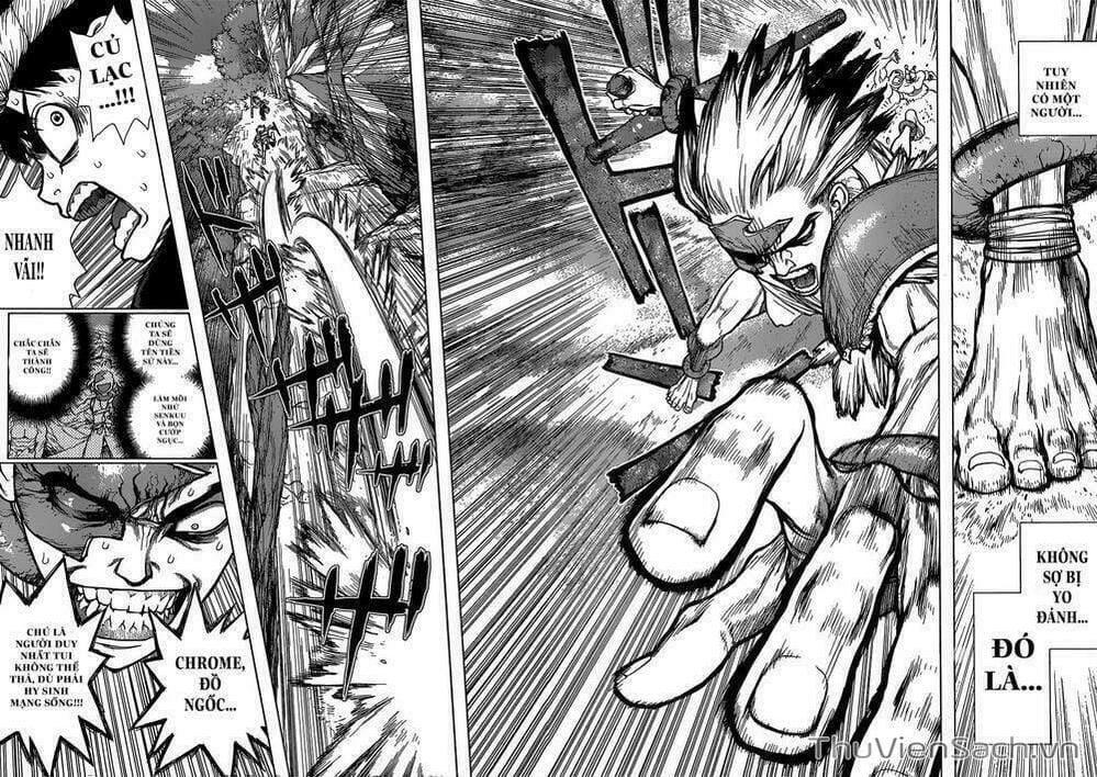 Truyện Tranh Dr. Stone - Hồi Sinh Thế Giới trang 3